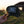 Range Creek Outfitter - Classic Hat MESH